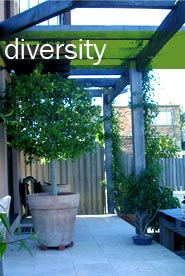 diversity