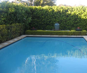 water feature